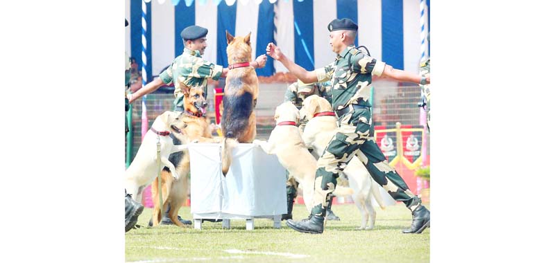 The trained dogs from BSF showing different activities during a dog show on the occasion of the BSF (Border Security Force of India) v/s BGB (Border Guard Bangladesh) Maitri (Friendship) Football Match at Belonia in Agartala on Thursday. (UNI) The trained dogs from BSF showing different activities during a dog show on the occasion of the BSF (Border Security Force of India) v/s BGB (Border Guard Bangladesh) Maitri (Friendship) Football Match at Belonia in Agartala on Thursday. (UNI)