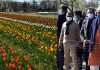 LG J&K Manoj Sinha & Governor of Kerala Arif Mohammad Khan during inauguration of Tulip festival on Saturday.