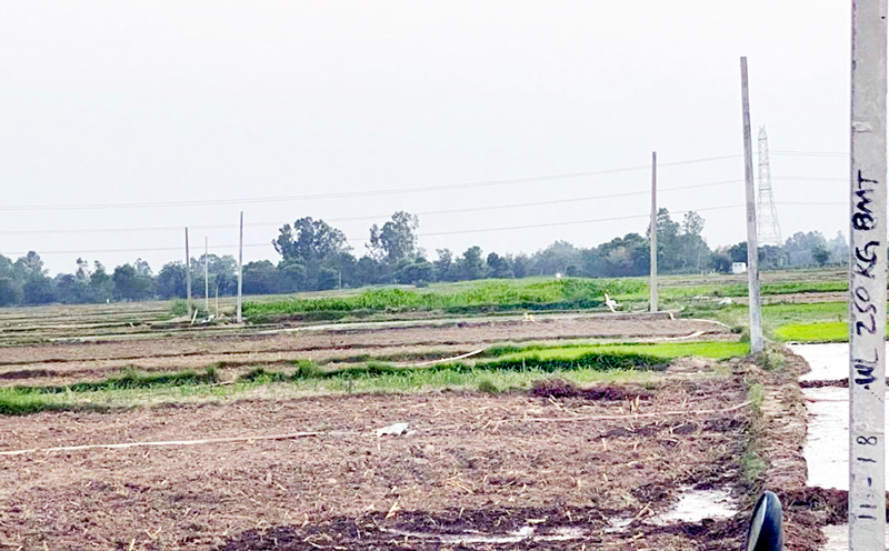 Electric poles without wires in Rehal speaks callousness of PDD authorities. Electric poles without wires in Rehal speaks callousness of PDD authorities.