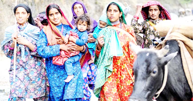 Gujjar women with animal. Gujjar women with animal.
