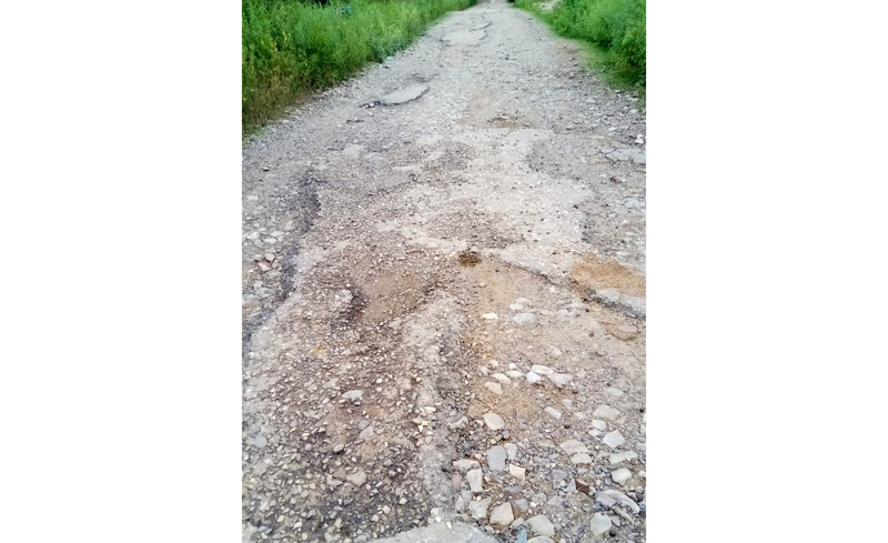 Kanjli Road in pitiable condition. Kanjli Road in pitiable condition.