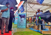 Principal Secretary APD, Navin Kumar Choudhary during Vishal Pashudhan Vyapar Mela in Hiranagar on Wednesday.