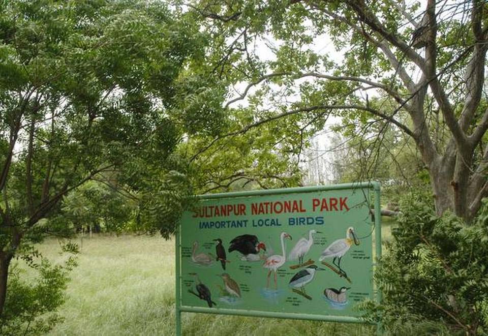 A view of the Sultanpur Bird Sanctuary