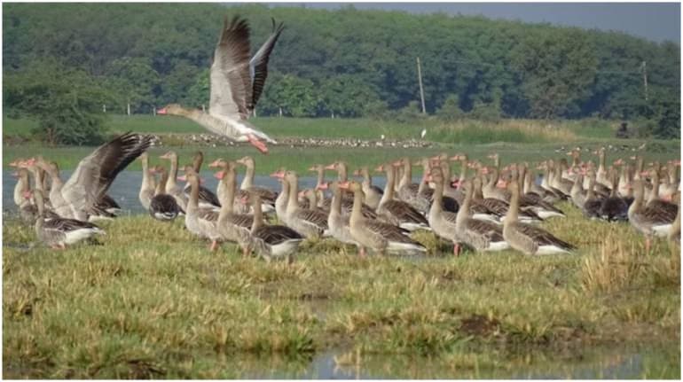 pjimage-2021-08-14T173333.909-770x433