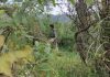 Troops during search operation in dense Bhatta Durrian forests of Mendhar on Monday. -Excelsior/Rahi Kapoor