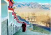 A monk walks on a hilly road at the monastery of Thiksay village on the outskirts of Leh on Wednesday. (UNI)