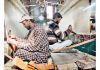 Artisans on work on a loom weaving Kashmir carpet using a unique 'Zari' technology, incorporating a metallic thread and multi colors to make the iconic craft noticeable in the international market. (UNI)