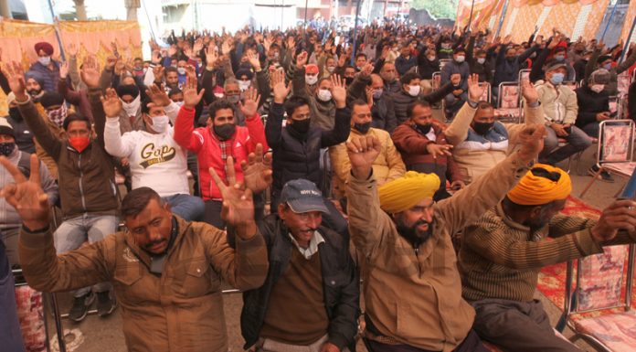 Striking Power employees staging protest in Jammu on Saturday. —Excelsior/Rakesh