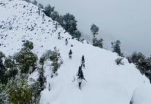 Despite heavy snowfall, Indian soldiers guard borders at 17,000 feet altitude