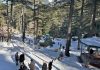 Tourists enjoying fresh snowfall at a Ski resort in Patnitop on Thursday. (UNI)