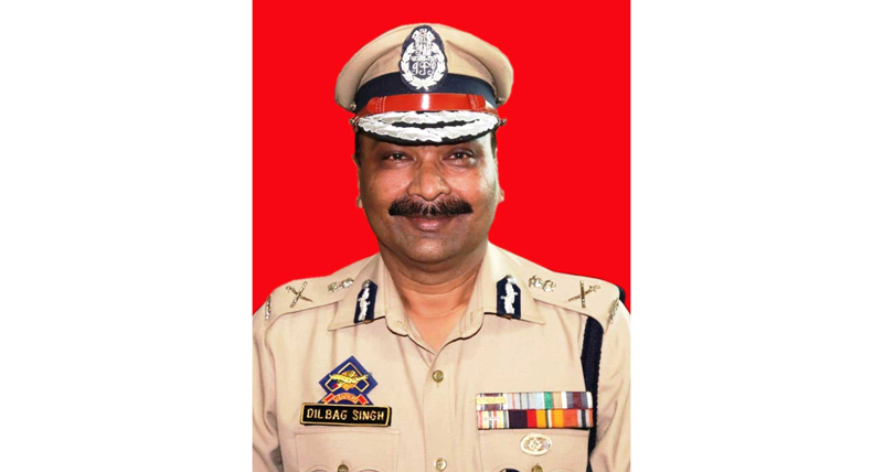 dgp