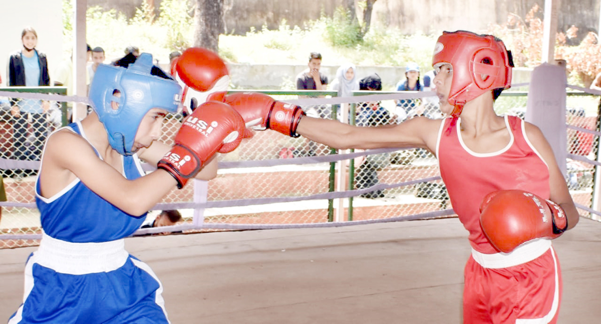 UT level Boxing C’ship concludes Jammu Kashmir Latest News Tourism