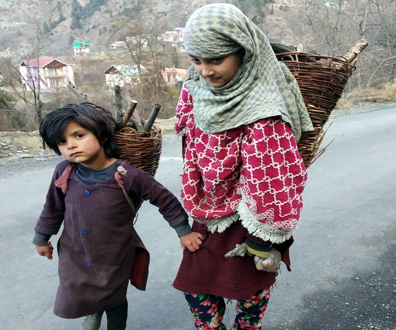Children carrying firewood head home in Bhaderwah area of Doda district.