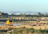 Illegal mining activity goes on along Nikki Tawi river down stream 4th bridge in Jammu.