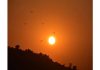 Dusk, a time of rest and peace, a time when birds go home to roost. A view of Sunset on LoC in Poonch on Wednesday.(UNI)