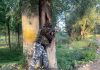 Security forces take position at the encounter site in Awantipora on Friday. (UNI)
