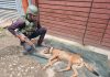 Sniffer dog killed during the operation when it was sent inside the home during encounter in Baramulla on Saturday. — Excelsior/Aabid Nabi