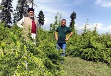 Abdul Hamid Bhat (56) known as tree man of Kashmir has planted over two lakh trees and fixed a target of planting 10 lakh trees by 2030. (UNI)