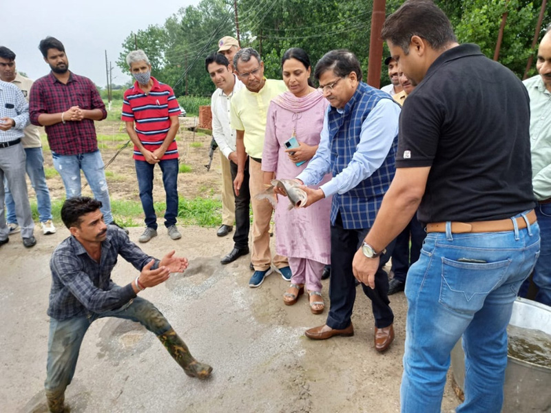 SKUAST-Jammu VC inaugurating Carp Brood Stock Pond on Thursday. SKUAST-Jammu VC inaugurating Carp Brood Stock Pond on Thursday.