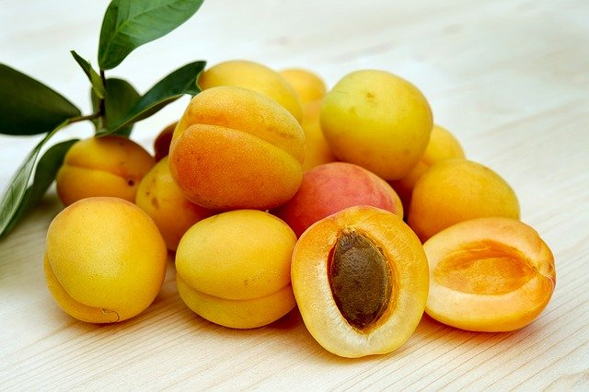 35 MT fresh apricots exported from Ladakh to Singapore, Mauritius