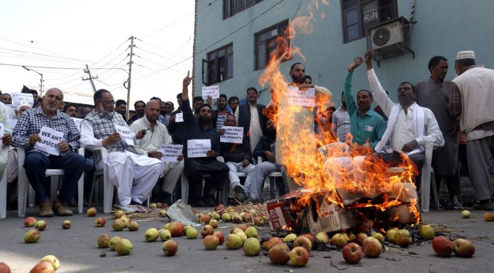Fruit growers and traders staging protest at Parimpora Fruit Mandi on Srinagar-Jammu National Highway. -Excelsior/Shakeel