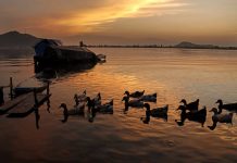 Beauty of Dal lake caught in the frame around Sunset in Srinagar on Wednesday. -Excelsior/Shakeel