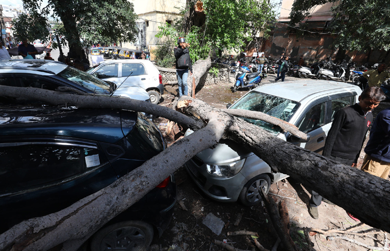 Several cars damaged due to fall of a tree at JDA parking, Kachi Chhawni in Jammu.— Excelsior/Rakesh