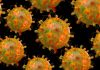 Active Covid Cases Decline To 1,478