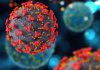 Three Fresh Covid Deaths Reported In Country