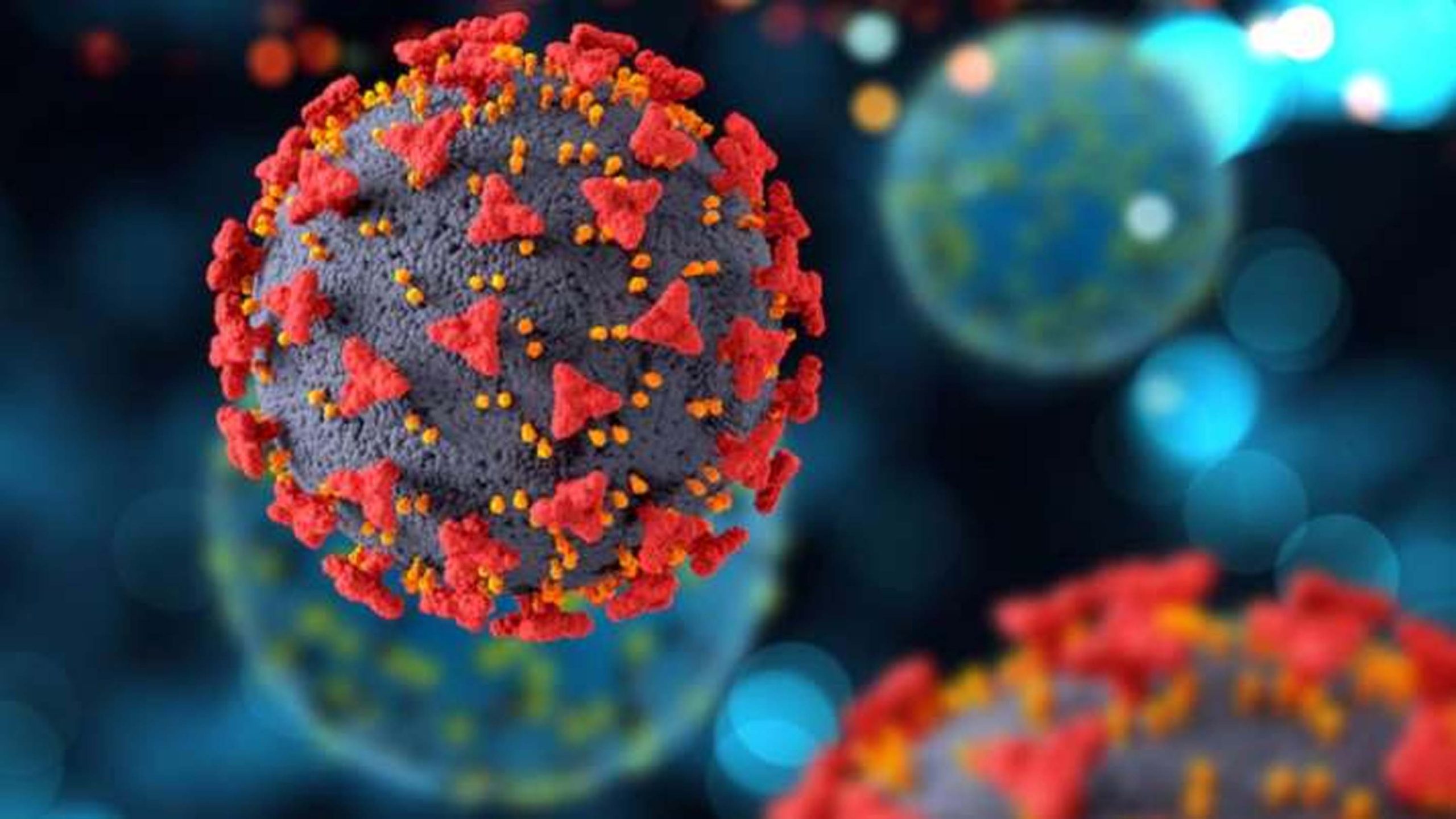 Three Fresh Covid Deaths Reported In Country Three Fresh Covid Deaths Reported In Country