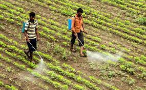 Agri Ministry issues draft guidelines for registration of bio-stimulants Agri Ministry issues draft guidelines for registration of bio-stimulants