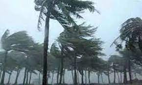 S China on guard as typhoon Talim nears S China on guard as typhoon Talim nears