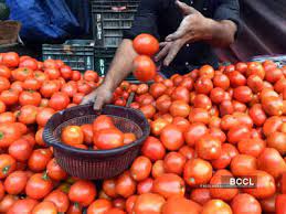 Nepal ready to supply tomatoes to India; seeks easier access to market Nepal ready to supply tomatoes to India; seeks easier access to market