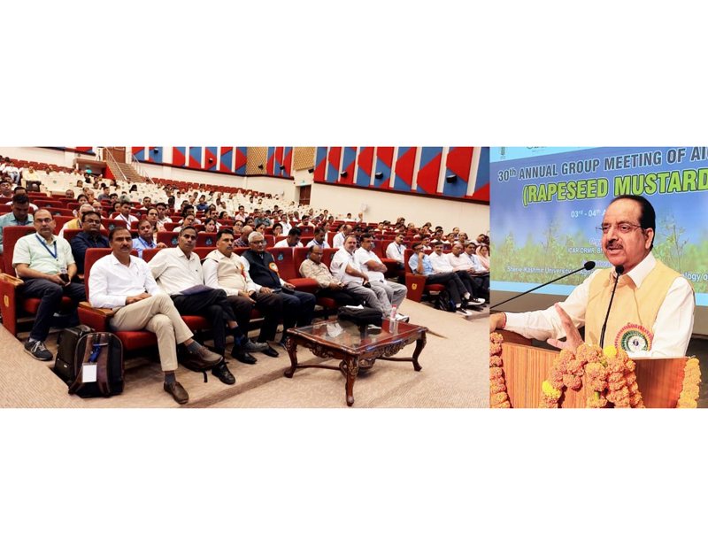 SKUAST- Jammu Vice-Chancellor addressing in Annual Group Meeting of AICRP on Rapeseed Mustard. SKUAST- Jammu Vice-Chancellor addressing in Annual Group Meeting of AICRP on Rapeseed Mustard.