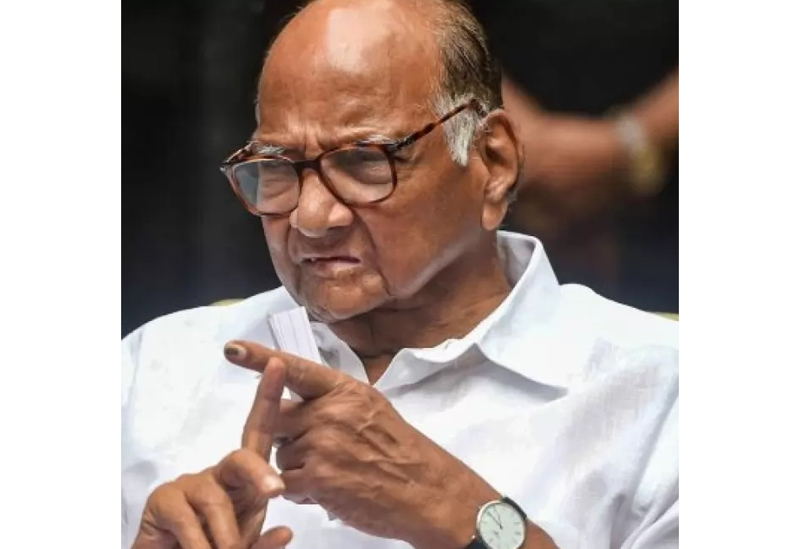 No confusion within MVA: Pawar No confusion within MVA: Pawar