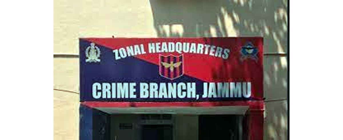 crimebranch