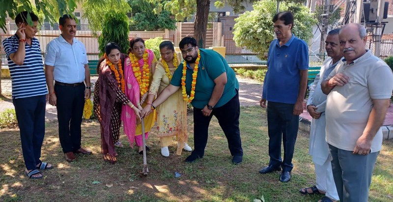 Neena Gupta, Corporator of Ward No. 50 Channi Himmat starting green strip development work. Neena Gupta, Corporator of Ward No. 50 Channi Himmat starting green strip development work.