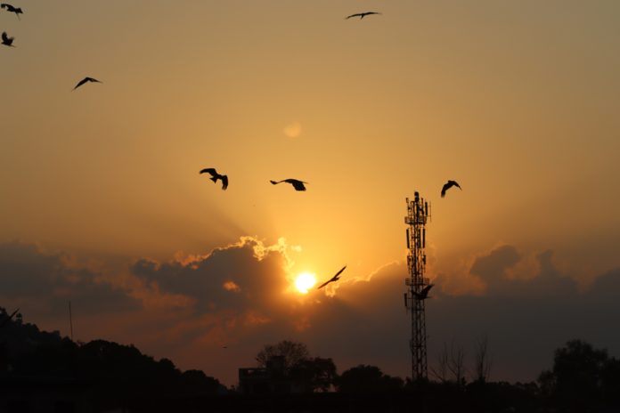 Birds fly amid Sunset in Mendhar area of Poonch. -Excelsior/Rahi Kapoor
