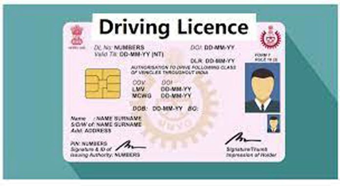 LICENCE