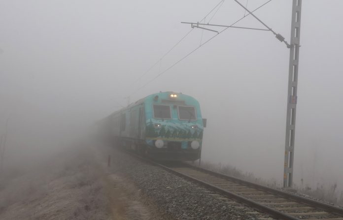 Intense Cold Wave Continues In Kashmir Valley, Dense Fog In Srinagar Affects Normal Life