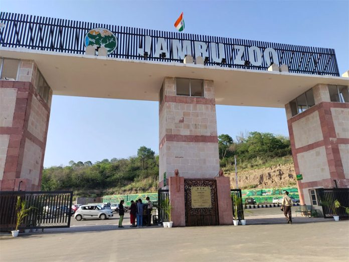 Zamboo Zoo
