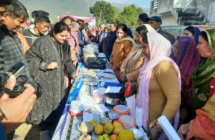 Former Minster, Priya Sethi taking round of stalls organized during a party function at Badsoo village in Dansal on Wednesday.