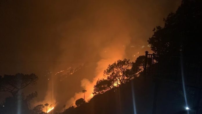 Forest Fire Triggers Landmine Explosions Near LoC In J&K's Poonch