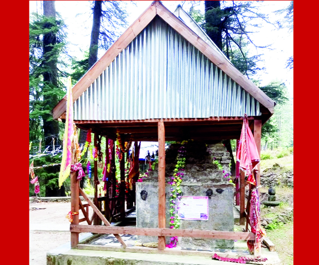 Dandasan Devi Where bumblebees averted invasion Dandasan Devi Where bumblebees averted invasion