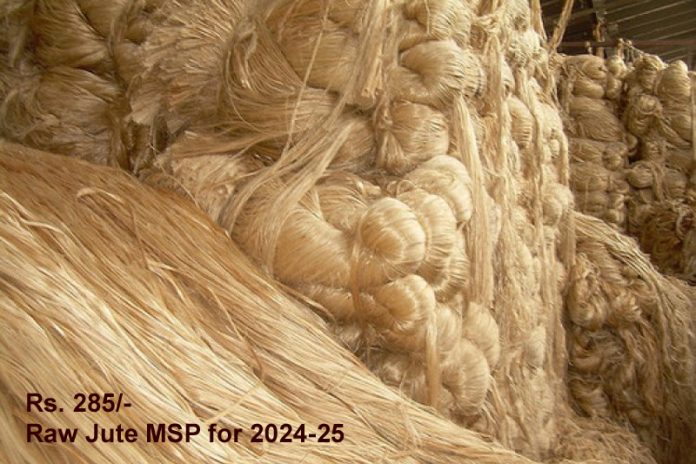 MSP Jute