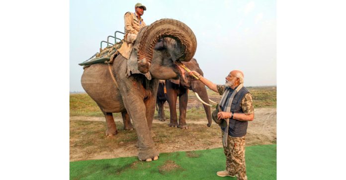Prime Minister Narendra Modi feeds sugarcane to Lakhimai, Pradyumna and Phoolmai elephants during his visit to Kaziranga National Park, in Assam on Saturday. (UNI) Prime Minister Narendra Modi feeds sugarcane to Lakhimai, Pradyumna and Phoolmai elephants during his visit to Kaziranga National Park, in Assam on Saturday. (UNI)