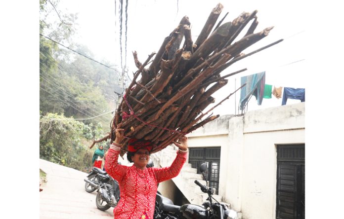 A woman carrying firewoods on way to home on the outskirts of Jammu. —Excelsior/Rakesh