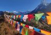 India emerges as Nepal's top inbound tourist market in Feb