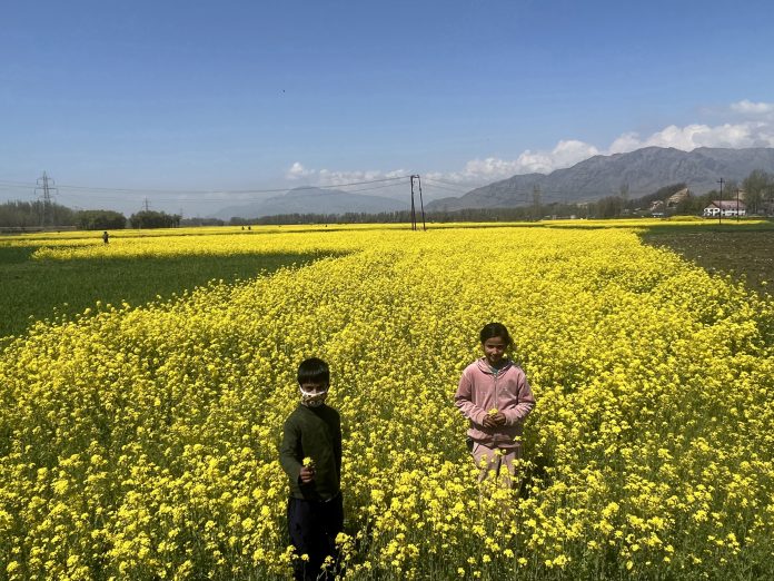 Weather Clears After Rains In J&K; Gulmarg Records Minus 1°C