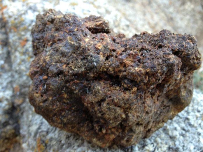 Shilajit Resin: Nature's Panacea for Modern Ailments